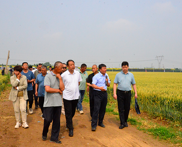 河北丰禾绿光农业科技有限