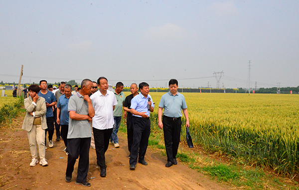 河北丰禾绿光农业科技有限公司